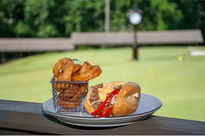 295 Starcross Lane, Jasper, GA 30143 - Photo 64