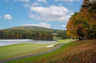 43 Osi Way, Big Canoe, GA 30143 - Photo 82