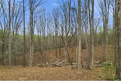 0 Carlan Road, Jasper, GA 30143 - Photo 12