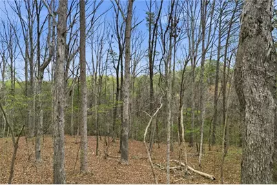 0 Carlan Road, Jasper, GA 30143 - Photo 18