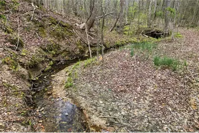 0 Carlan Road, Jasper, GA 30143 - Photo 16