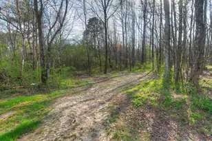 7437 Hwy 53 W, Jasper, GA 30143 - Photo 30