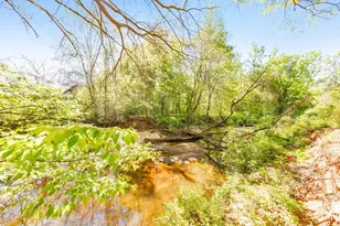 358 Nature Brook Walk SE, Smyrna, GA 30082 - Photo 60