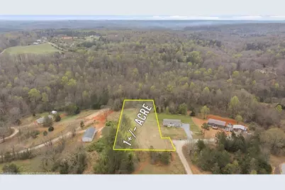 336 Mineral Springs Trail, Demorest, GA 30535 - Photo 12