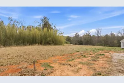 336 Mineral Springs Trail, Demorest, GA 30535 - Photo 6