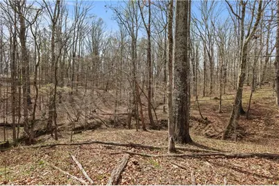 0 Winford Smith Road, Athens, GA 30607 - Photo 8