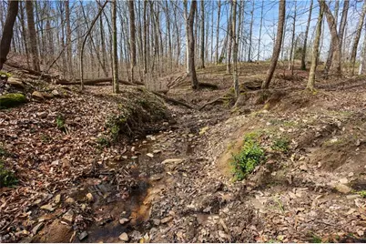 0 Winford Smith Road, Athens, GA 30607 - Photo 10