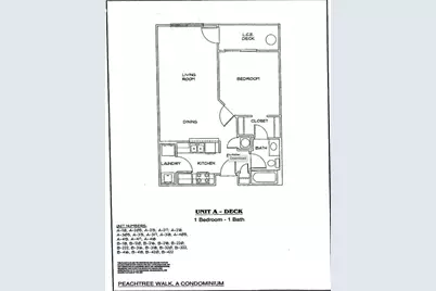 1074 Peachtree Walk NE #B220, Atlanta, GA 30309 - Photo 20