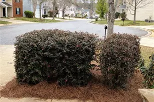 3075 Whittier Way, Cumming, GA 30040 - Photo 2