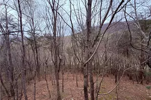 496 Mulligan Way, Jasper, GA 30143 - Photo 28