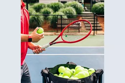 5921 Yoshino Cherry Lane, Braselton, GA 30517 - Photo 66