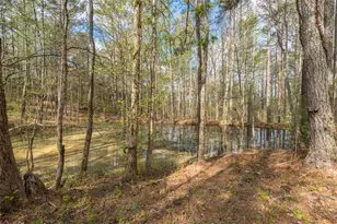 710 Little Vine Church Rd, Villa Rica, GA 30180 - Photo 58