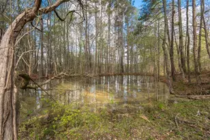 710 Little Vine Church Rd, Villa Rica, GA 30180 - Photo 62