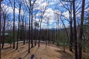 494 Lower Prince Mountain Road, Blue Ridge, GA 30522 - Photo 10