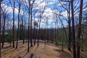 494 Lower Prince Mountain Road, Blue Ridge, GA 30522 - Photo 16