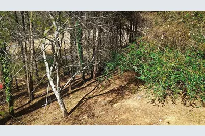 117 Turner Road, Dahlonega, GA 30533 - Photo 2