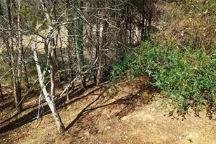 117 Turner Rd, Dahlonega, GA 30533 - Photo 2