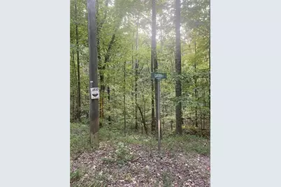 1145 Embry Court, Ranger, GA 30734 - Photo 4