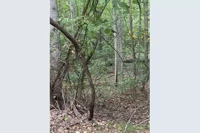 1145 Embry Court, Ranger, GA 30734 - Photo 2