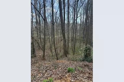 0 Willow Gate Trace, Auburn, GA 30011 - Photo 4