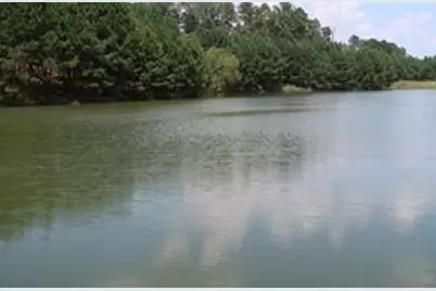 1221 Lakeside Overlook, Canton, GA 30114 - Photo 52