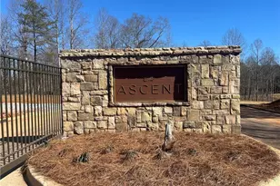 456 Peaceful Grove (Lot 58) Dr, Cumming, GA 30041 - Photo 26