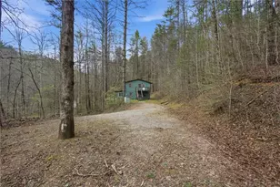 1780 Conasauga Rd, Ellijay, GA 30540 - Photo 42