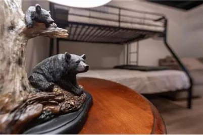 49 Baum Weg, Helen, GA 30545 - Photo 36