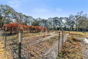 670 Railroad Ave, Carlton, GA 30627 - Photo 38