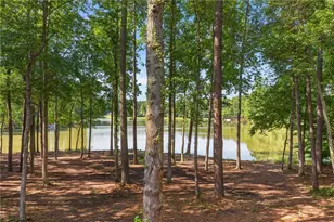 341 Teepee Trail, Whitesburg, GA 30185 - Photo 84