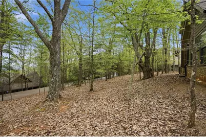 83 Summit Drive W, Big Canoe, GA 30143 - Photo 44
