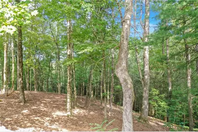 0 Strada Del Vino #10, Dahlonega, GA 30533 - Photo 16