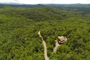 499 Raven Ridge Cir, Mineral Bluff, GA 30559 - Photo 38