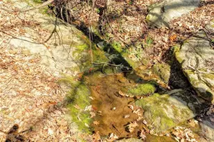 734 Weller Path NE, Sugar Hill, GA 30518 - Photo 42