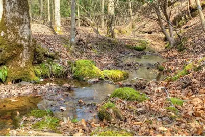 Lt 13 Rocky Ridge, Mineral Bluff, GA 30559 - Photo 22