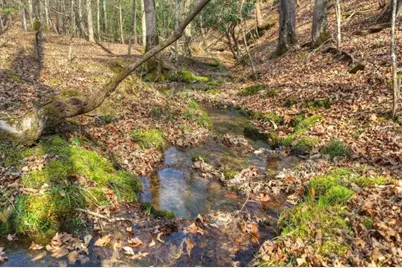 Lt 13 Rocky Ridge, Mineral Bluff, GA 30559 - Photo 20