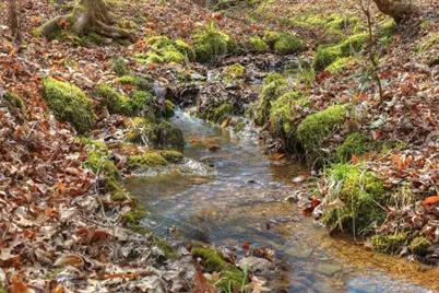 Lt 13 Rocky Ridge, Mineral Bluff, GA 30559 - Photo 24