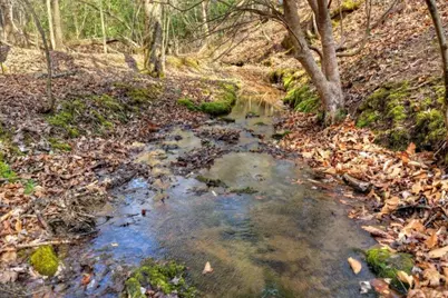 Lt 13 Rocky Ridge, Mineral Bluff, GA 30559 - Photo 4