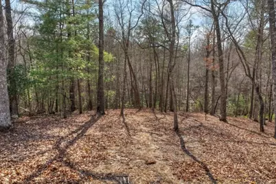 Lt 13 Rocky Ridge, Mineral Bluff, GA 30559 - Photo 6