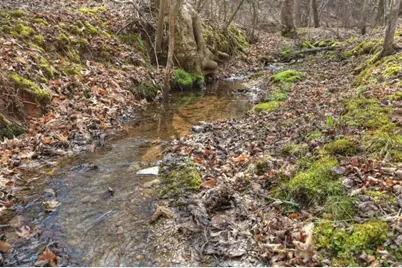 Lt 13 Rocky Ridge, Mineral Bluff, GA 30559 - Photo 18