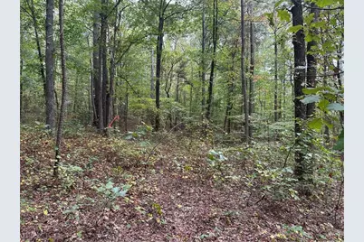 0 Salacoa-8 Acres, Waleska, GA 30183 - Photo 10