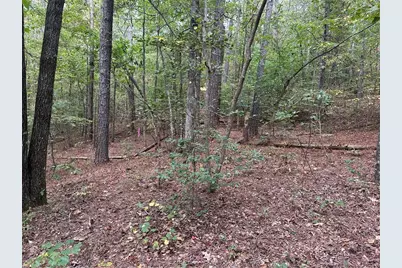 0 Salacoa-8 Acres, Waleska, GA 30183 - Photo 12