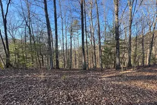 0 Rebekah Ridge, Talking Rock, GA 30175 - Photo 1