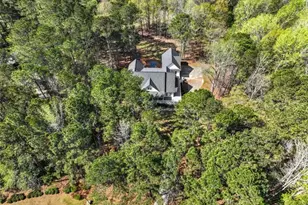 110 Allie Dr, McDonough, GA 30252 - Photo 66