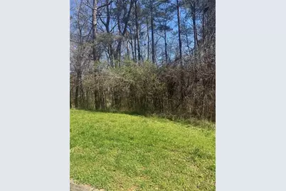 3740 Mountain Cove Road, Snellville, GA 30039 - Photo 1