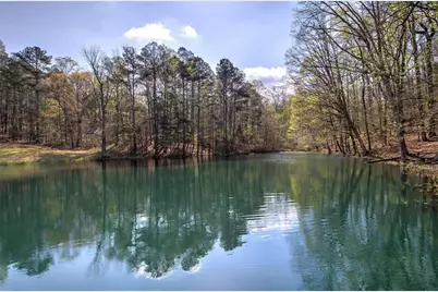 75 Star Wars Path, Dallas, GA 30132 - Photo 62