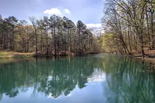 75 Star Wars Path, Dallas, GA 30132 - Photo 60