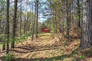 75 Star Wars Path, Dallas, GA 30132 - Photo 52