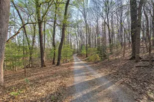 75 Star Wars Path, Dallas, GA 30132 - Photo 4