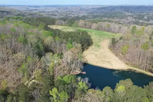 75 Star Wars Path, Dallas, GA 30132 - Photo 90